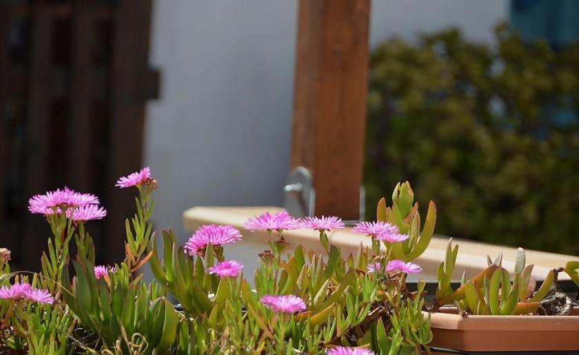 Casa Ambra Bed & Breakfast มาการี ภายนอก รูปภาพ